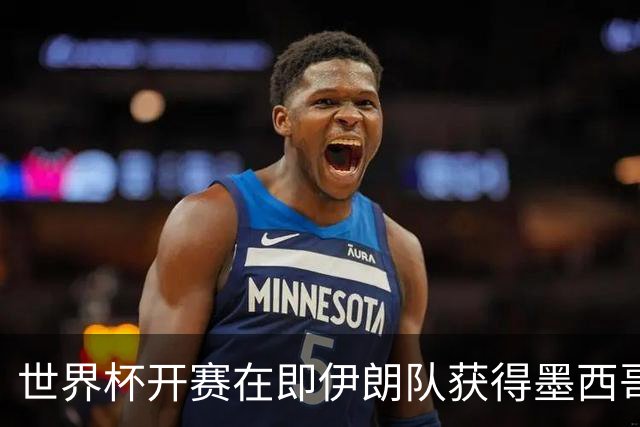 世界杯开赛在即伊朗队获得墨西哥签证 计划启程前往驻地